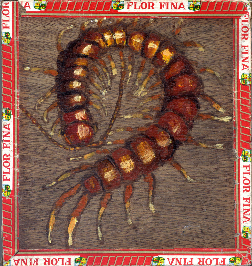 Centipede-Cigar-Box